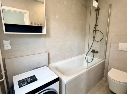 Pronájem bytu, pokoj, 15 m²