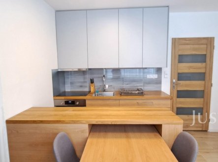 Pronájem bytu, 1+1, 41 m²