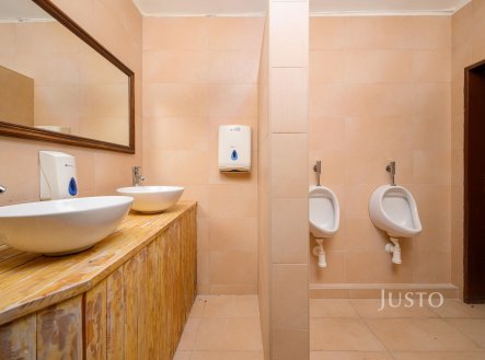 Prodej restaurace, 204 m²