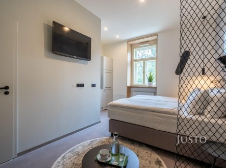 Prodej apartmánu, 24 m²