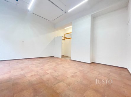 Pronájem kanceláře, 48 m²