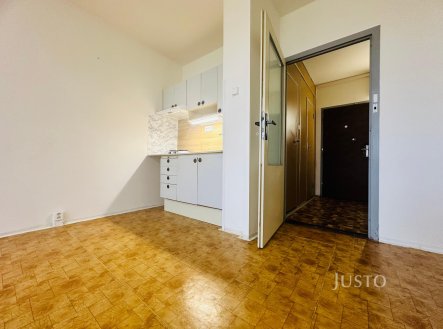 Pronájem bytu, 1+kk, 29 m²