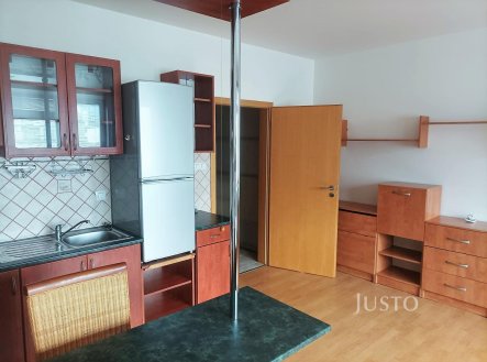 Pronájem bytu, 1+kk, 38 m²