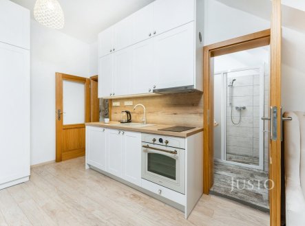 Pronájem bytu, 1+kk, 32 m²