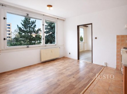 Pronájem bytu, 1+1, 38 m²