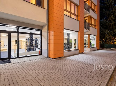 Prodej obchodní prostory, 229 m²