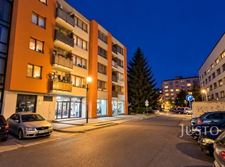 Prodej obchodní prostory, 229 m²