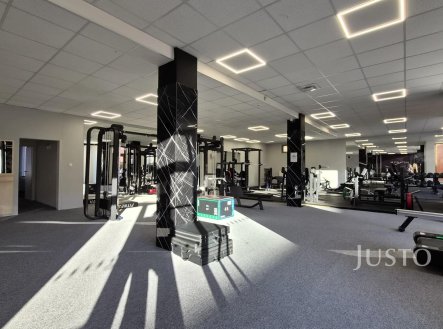 Prodej obchodní prostory, 229 m²