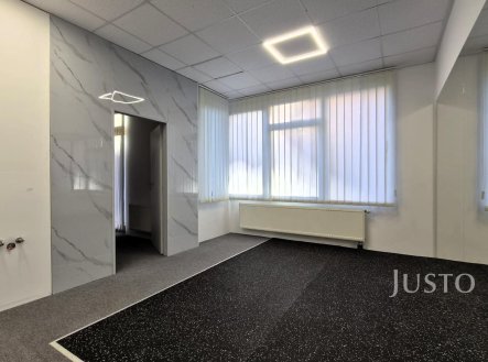 Prodej obchodní prostory, 229 m²