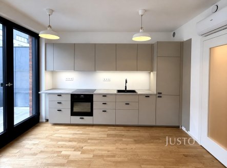 Pronájem bytu, 1+kk, 45 m²