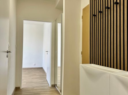 Pronájem bytu, 2+1, 56 m²