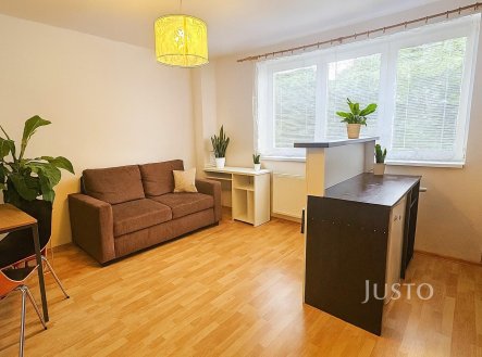 Pronájem bytu, 1+kk, 28 m² obrázek