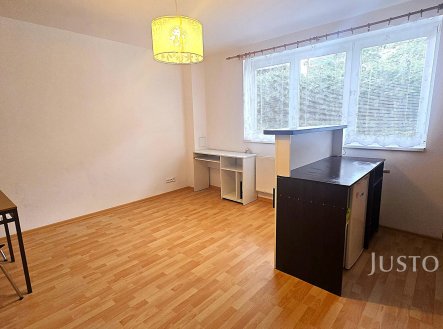 Pronájem bytu, 1+kk, 28 m²