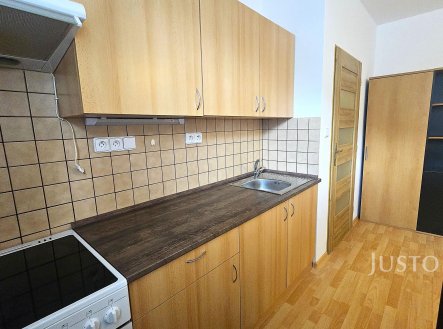 Pronájem bytu, 1+kk, 28 m²