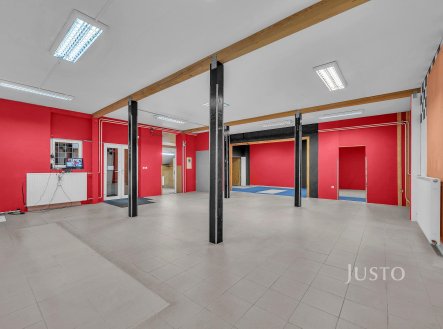 Pronájem obchodní prostory, 170 m²
