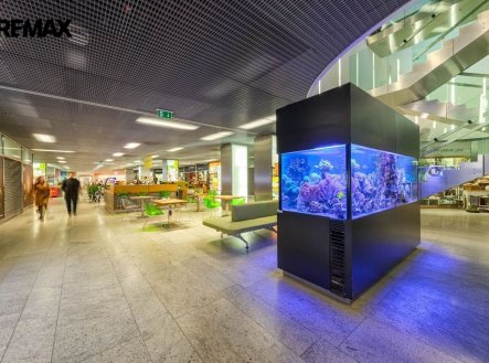 Pronájem obchodní prostory, 84 m²