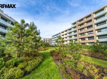 Pronájem bytu, 3+kk, 196 m²