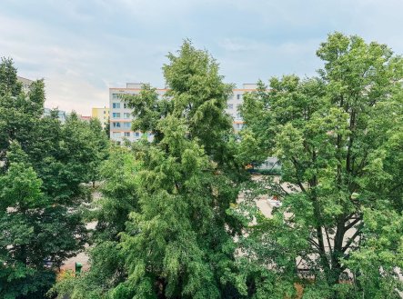 Pronájem bytu, 3+1, 80 m²