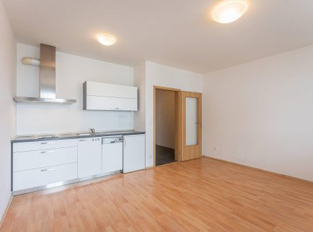 Pronájem bytu, 1+kk, 31 m²