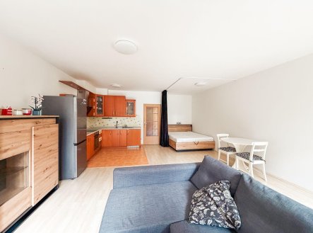 Pronájem bytu, 1+kk, 48 m²