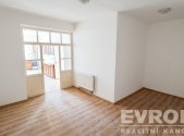Pronájem bytu, 1+1, 41 m²