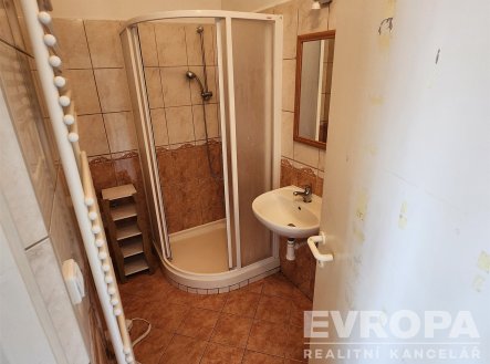 Pronájem bytu, 1+kk, 28 m²