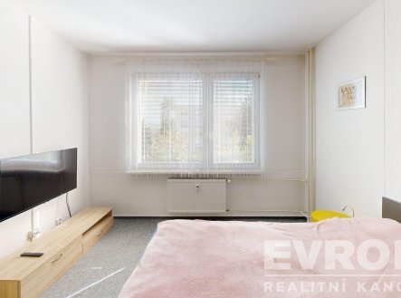 Pronájem bytu, 1+1, 42 m²