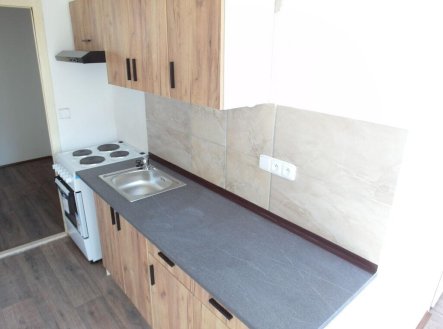 Pronájem bytu, 1+1, 42 m²
