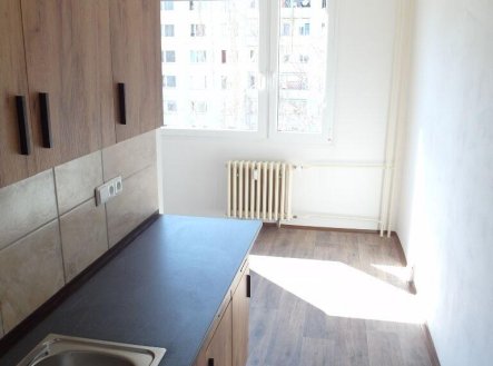 Pronájem bytu, 1+1, 42 m²