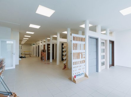 Prodej výrobní prostory, 11 439 m²