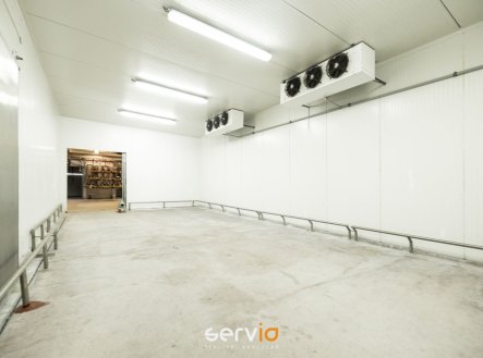 Pronájem výrobní prostory, 3 100 m²