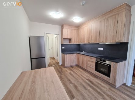 Pronájem bytu, 1+1, 49 m²
