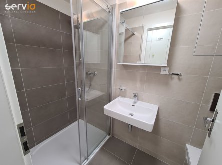 Pronájem bytu, 1+1, 49 m²
