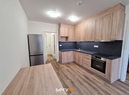Pronájem bytu, 1+1, 49 m²