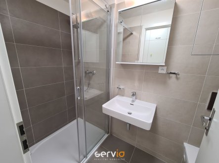 Pronájem bytu, 1+1, 49 m²