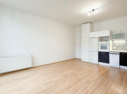 Pronájem bytu, 2+kk, 55 m²