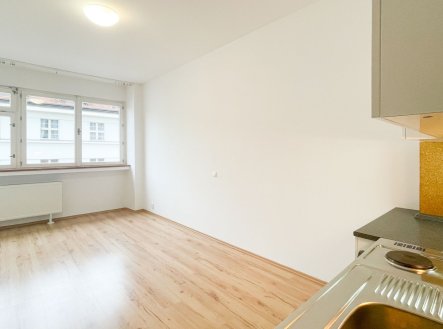 Pronájem bytu, 1+kk, 24 m²
