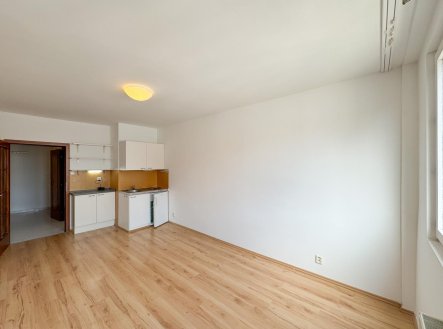 Pronájem bytu, garsoniéra, 25 m²