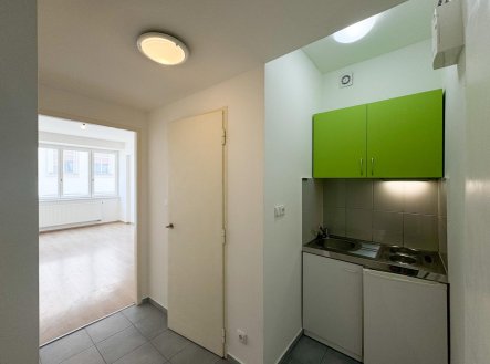 Pronájem bytu, 1+kk, 27 m²