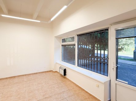 Pronájem obchodní prostory, 25 m²