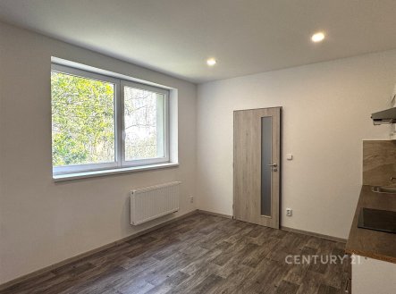Pronájem bytu, 1+kk, 25 m²