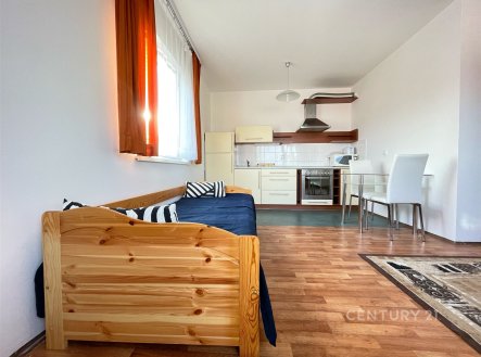 Pronájem bytu, 1+kk, 43 m²