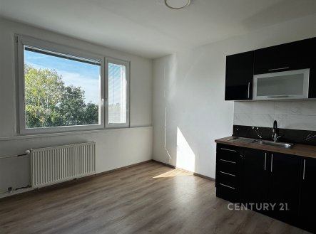Prodej bytu, 1+1, 39 m²