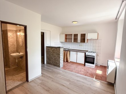 Pronájem bytu, 1+kk, 52 m²
