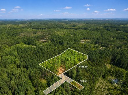 Prodej pozemku pro bydlení, 4 428 m²