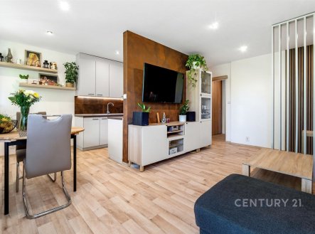 Prodej bytu, 3+kk, 81 m²