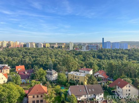 Prodej bytu, 1+kk, 24 m²