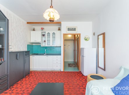 Prodej bytu, 1+kk, 24 m²