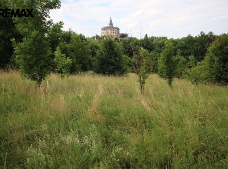 Prodej pozemku, trvalý travní porost, 25 331 m²