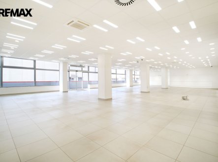 Pronájem obchodní prostory, 550 m²
